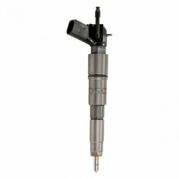 BOSCH 0445110066 injector #1 image